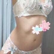 ヒメ日記 2025/11/18 21:50 投稿 さく 吉祥寺大人めシンデレラ（シンデレラグループ）