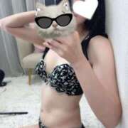 ヒメ日記 2025/10/06 09:02 投稿 みすず C.C.CATS