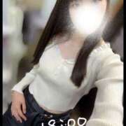 ヒメ日記 2025/10/09 12:21 投稿 みすず C.C.CATS