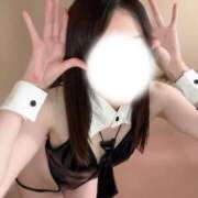 ヒメ日記 2025/10/10 14:41 投稿 みすず C.C.CATS