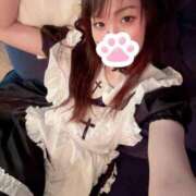 ヒメ日記 2025/10/12 20:02 投稿 みすず C.C.CATS