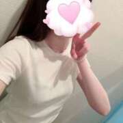 ヒメ日記 2025/10/19 10:02 投稿 みすず C.C.CATS