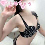 ヒメ日記 2025/10/19 13:21 投稿 みすず C.C.CATS