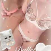 ヒメ日記 2025/10/21 12:41 投稿 みすず C.C.CATS