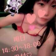 ヒメ日記 2025/10/27 19:21 投稿 みすず C.C.CATS