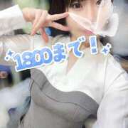 ヒメ日記 2025/10/28 13:02 投稿 みすず C.C.CATS