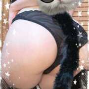 ヒメ日記 2025/11/05 16:41 投稿 みすず C.C.CATS