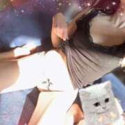 ヒメ日記 2025/11/10 13:22 投稿 みすず C.C.CATS