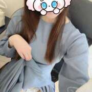 ヒメ日記 2025/11/11 14:22 投稿 みすず C.C.CATS