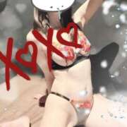 ヒメ日記 2025/11/14 15:22 投稿 みすず C.C.CATS