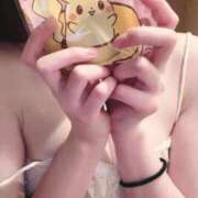 ヒメ日記 2025/11/15 10:03 投稿 みすず C.C.CATS