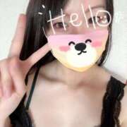 ヒメ日記 2025/11/20 17:22 投稿 みすず C.C.CATS