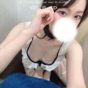 ヒメ日記 2025/11/20 22:22 投稿 みすず C.C.CATS