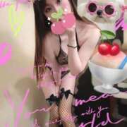 ヒメ日記 2025/11/25 18:02 投稿 みすず C.C.CATS