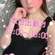 ヒメ日記 2025/11/27 10:03 投稿 みすず C.C.CATS