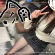 ヒメ日記 2025/12/02 10:03 投稿 みすず C.C.CATS