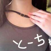 ヒメ日記 2025/12/08 12:03 投稿 みすず C.C.CATS