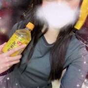 ヒメ日記 2025/12/15 13:42 投稿 みすず C.C.CATS