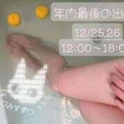 ヒメ日記 2025/12/23 22:22 投稿 みすず C.C.CATS