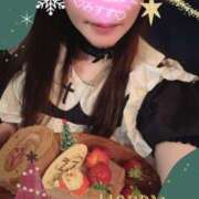 ヒメ日記 2025/12/24 21:22 投稿 みすず C.C.CATS