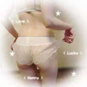 ヒメ日記 2025/12/26 12:22 投稿 みすず C.C.CATS