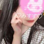 ヒメ日記 2025/12/29 09:42 投稿 みすず C.C.CATS