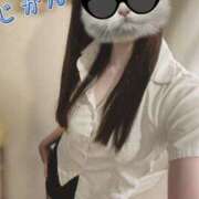 ヒメ日記 2026/01/15 12:23 投稿 みすず C.C.CATS