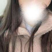 ヒメ日記 2026/01/20 10:22 投稿 みすず C.C.CATS