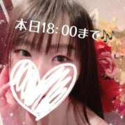 ヒメ日記 2026/01/27 11:03 投稿 みすず CCキャッツ