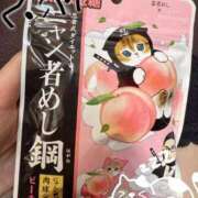 ヒメ日記 2026/02/12 13:22 投稿 みすず CCキャッツ