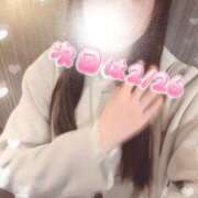 ヒメ日記 2026/02/20 19:02 投稿 みすず CCキャッツ