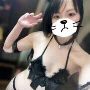 ヒメ日記 2026/04/14 23:02 投稿 みすず CCキャッツ