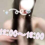 ヒメ日記 2026/04/24 10:41 投稿 みすず CCキャッツ