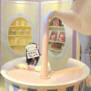 ヒメ日記 2026/03/31 06:02 投稿 りこ BABY LIPS