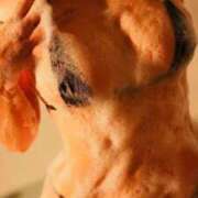 ヒメ日記 2025/10/15 16:06 投稿 ことは ぐっすり山田　福岡店