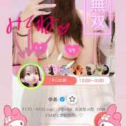 ヒメ日記 2026/02/12 12:08 投稿 ゆあ 名古屋ちゃんこ