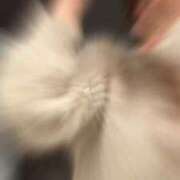 ヒメ日記 2026/03/07 18:48 投稿 ゆあ 名古屋ちゃんこ