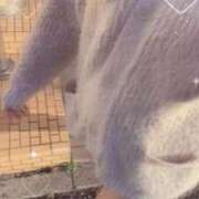 ヒメ日記 2026/03/08 17:05 投稿 ゆあ 名古屋ちゃんこ