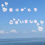 ヒメ日記 2025/11/23 12:05 投稿 すず 熟女家 堺東店