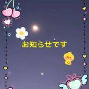 ヒメ日記 2026/04/03 11:37 投稿 すず 熟女家 堺東店