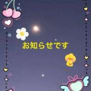 すず 毎日… 熟女家 堺東店