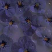 ヒメ日記 2025/11/12 13:42 投稿 ★桜河あおい★ CLUB39（クラブサンキュー）