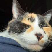 ヒメ日記 2026/01/14 18:52 投稿 ★桜河あおい★ CLUB39（クラブサンキュー）