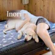 ヒメ日記 2025/10/20 12:04 投稿 Inori THE MUSE