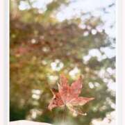 ヒメ日記 2025/11/04 08:03 投稿 なるみ 池袋人妻城