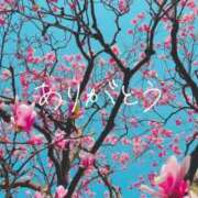 ヒメ日記 2026/02/20 01:12 投稿 なるみ 池袋人妻城