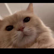 かがみ 今すぐ逢えます❣️ 若妻淫乱倶楽部