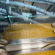 ヒメ日記 2025/11/15 17:04 投稿 しょうこ シークレットタッチ