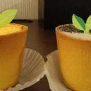 ヒメ日記 2025/11/08 11:53 投稿 平山 さとみ 熟女・人妻マダム宮殿