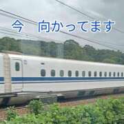 ヒメ日記 2025/11/21 11:00 投稿 平山 さとみ 熟女・人妻マダム宮殿